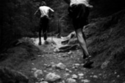 trail.jpg
